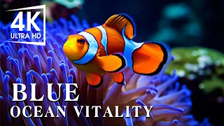 Serenity of the Sea Aquarium 4K Ultra HD - Deep Relaxing Sleep Meditation Music #27