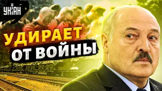 Лукашенко "кинул" Путина по-крупному - Олег Жданов