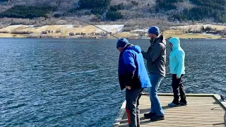 Донка с Креветкой РУЛИТ! Думали ПАЛТУС… Рыбалка в апреле, Норвегия