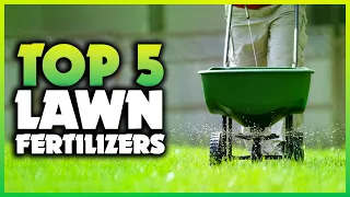 Top 5 Best Lawn Fertilizers 2023 [Don't Buy Until You Watch This]