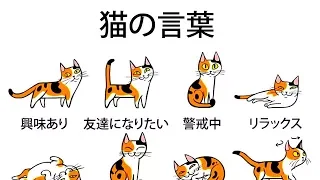 飼い猫の気持ちがもっとよく分かるようになる５つのヒント