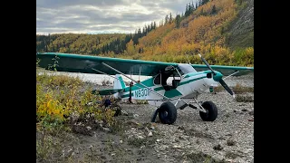 Moose Hunting and Flying in the Western Arctic 2022