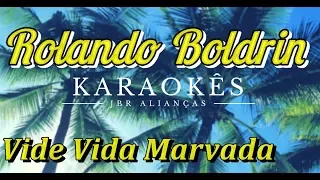 Vide Vida Marvada - Rolando Boldrin - Karaokê em HD