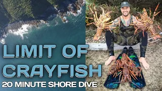 LIMIT OF CRAYFISH (20 MIN SHORE DIVE ) - SOUTH ISLAND NZ - CATCH AND COOK / EATING A GIANT KINA