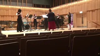 Les Six Flute Ensemble performing The Typewriter - Anderson arr. Orriss