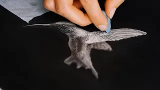 Full Pencil Drawing of a Bird ASMR | Real Time 44 Minutes