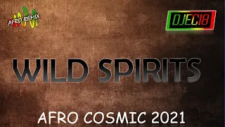 AFRO COSMIC 2021 - Wild Spirits (DJEC18 REMIX)