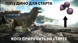 КОГО ЛУЧШЕ ПРИРУЧИТЬ НА СТАРТЕ в ARK MOBILE  | ТОП 3 ДИНО НА СТАРТЕ | ГАЙД #ark #arkmobile