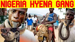 Top Animal Gangs Of Nigeria The Hyena Men Gang | Mysterious (EXPOSED)