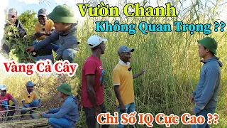 Công Giáp || Vườn Chanh Không Quan Trọng ? Vậy Thứ Gì Trong Vườn Chanh Khiến Anh Quản Lí Quan Tâm ??