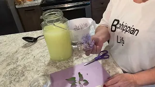 HOW TO MAKE LILAC LEMONADE 💜🍋 #lilaclemonade