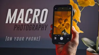 Sandmarc Macro Lens Edition Review: Crazy Detailed Macro For Mobile!