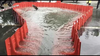 The Boxwall Flood Barrier