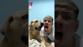 Beatboxing with Dog!🔥 #shorts #foryou #tiktok #beatboxing TikTok: escobedittooo