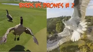 Top 5 Angry Birds vs Drones # 2