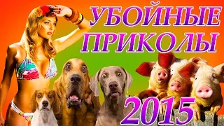 Убойные приколы 2015. Серия №3.