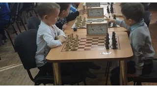 Шахматы для начинающих Турнир для малышей