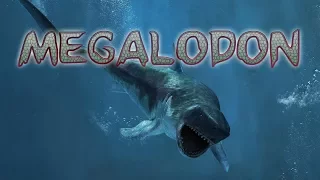 Megalodon, der Urzeithai - in 4D erleben im Praehistorium