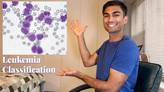 Leukemia Classification Explained