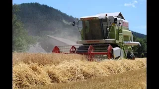 [SOUND] Gerste dreschen 2019 | Claas Dominator 98 VX