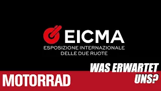 Eicma 2021: was erwartet uns?