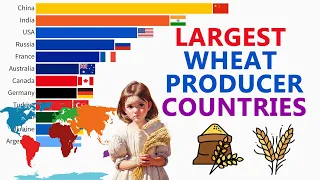 Largest Wheat Producer Countries In The World (1964-2024) | Top Countries Wheat Producers