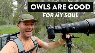 Owls Are Good For My Soul - Wildlife Photography Vlog in the Tetons - Hiking and Shooting Nikon Z9