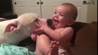 Best Friend Forever Funny Baby and Dogs Compilation #13