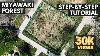 How To Create A MIYAWAKI FOREST | Step-by-step NANAK BAGICHI Tutorial