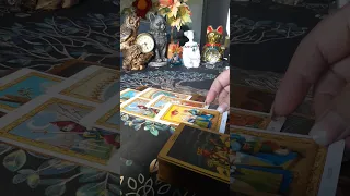 Мысли о Вас любимого человека?🥰❤❤❤❤💯💥#гадание #таролог #таро #tarot