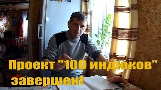 Проект "100 ИНДЮКОВ" завершен!  // Индюки разведение в ЛПХ