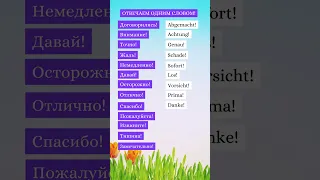 Отвечаем одним словом! Немецкий для всех!