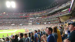 2019 Stanley cup St Louis blues from the Busch stadium game 7 watch party