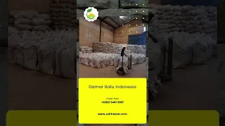 Ready Stock Damar Batu Indonesia - Phone/WA +62821 5447 8997