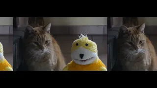 Flat Eric video mashup