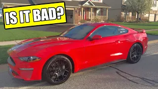 1 Month of Owning a 2019 Ford Mustang Ecoboost. TOP 3 BAD THINGS ABOUT IT!