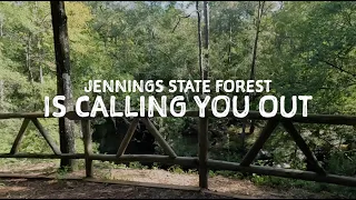 We're Calling You Out to Jennings State Forest