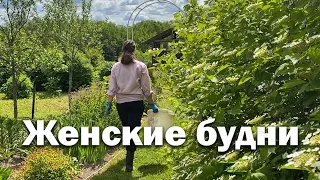 Женские будни//Как все успеть?//Надоело, ломаю огород