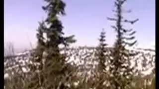 Yeti or Bigfoot filmed in Siberia, Russia?