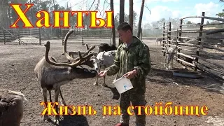 Ханты. Жизнь на стойбище.