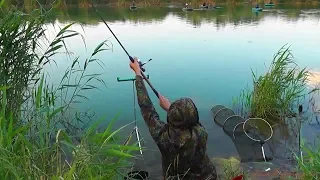 Волгодонск, Карась прет как дурной