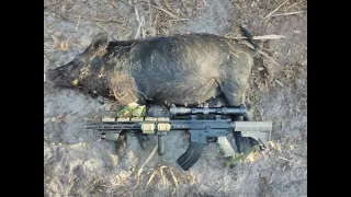 Florida Pig Hunt AR47 7.62 x 39