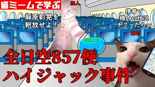 猫ミームで学ぶ全日空857便ハイジャック事件 #猫マニ #猫ミーム