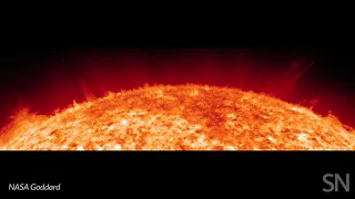 Watch spicules emerge near the sun’s surface | Science News