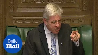 Speaker John Bercow urgers MP to take up yoga to calm himself - Daily Mail