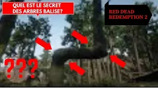 QUEL EST LE SECRET DES ARBRES BALISE? RED DEAD REDEMPTION 2