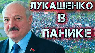 ЛУКАШЕНКО В ПАНИКЕ! ПРОТЕСТУЮЩИЕ ИДУТ К РЕЗИДЕНЦИИ | Митинги в Минске протесты в Белоруссии