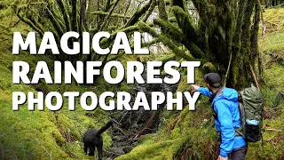 Photographing a Magical Rainforest in Scotland