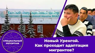 Специальный репортаж: «Новый Уренгой. Как проходит адаптация мигрантов?»