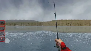 Ultimate fishing simulator как поймать сома